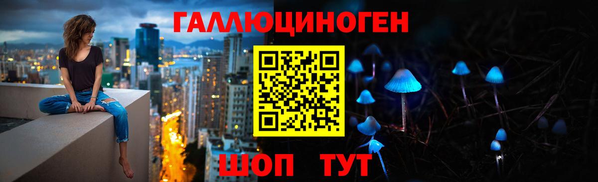 Галлюциногенные грибы Magic Shrooms  Вход с VPN  Кашира  Псилоцибиновые грибы Cubensis 